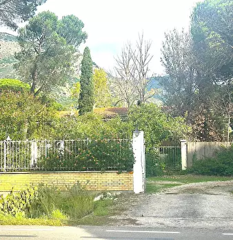 Foto annuncio 4