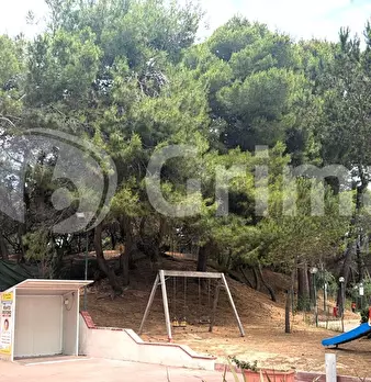 Foto annuncio 18