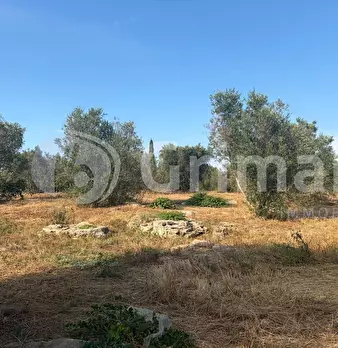 Foto annuncio 30