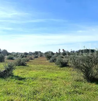 Foto annuncio 18