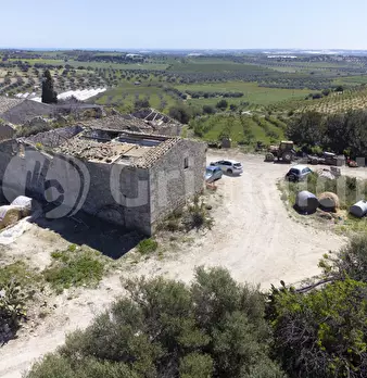 Foto annuncio 10