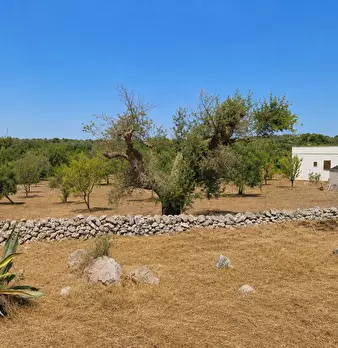 Foto annuncio 7