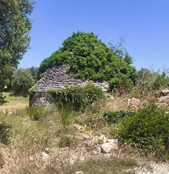 Foto annuncio 6