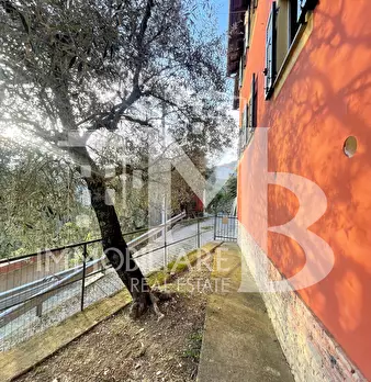 Foto annuncio 10