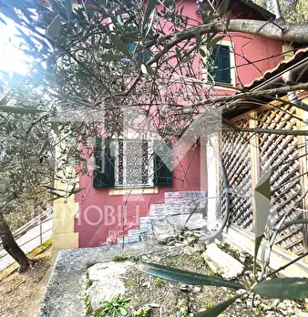 Foto annuncio 5
