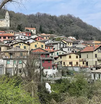 Foto annuncio 53