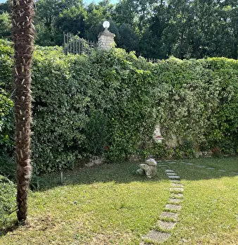 Foto annuncio 6