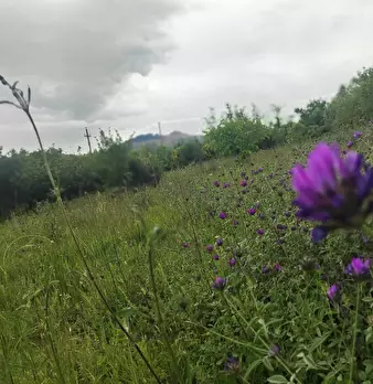 Foto annuncio 1