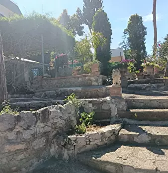 Foto annuncio 40