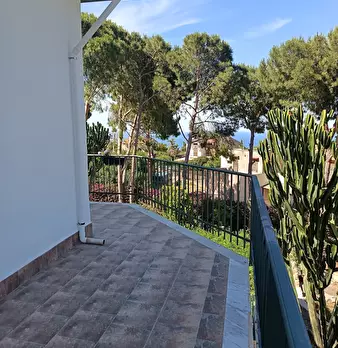 Foto annuncio 53