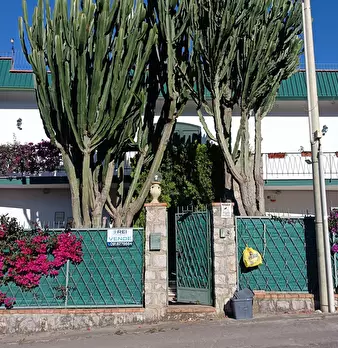 Foto annuncio 34
