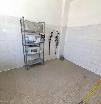 Foto annuncio 10