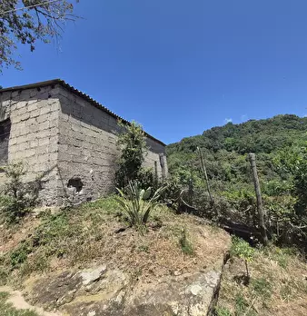 Foto annuncio 17