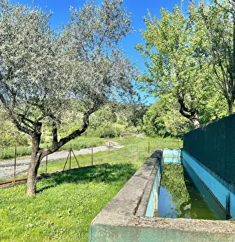 Foto annuncio 5