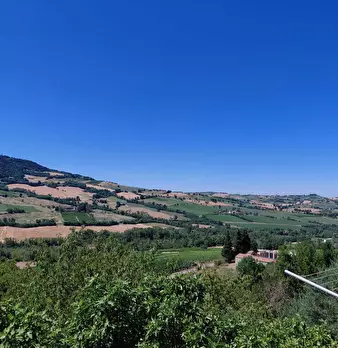 Foto annuncio 12