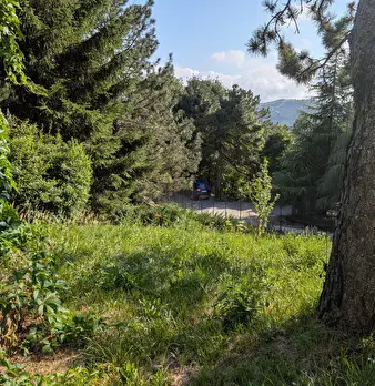 Foto annuncio 28