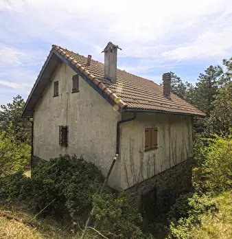 Foto annuncio 66
