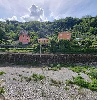 Foto annuncio 39