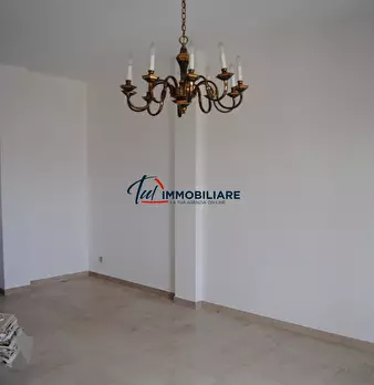Foto annuncio 12