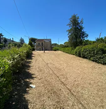 Foto annuncio 39