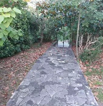 Foto annuncio 8