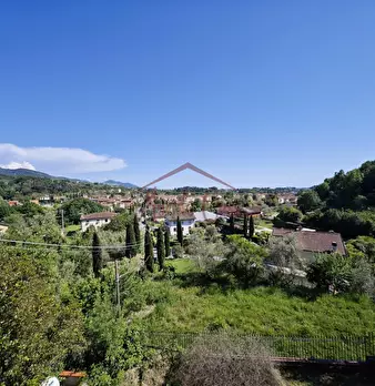 Foto annuncio 73