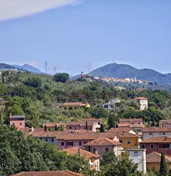 Foto annuncio 10