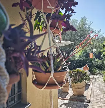 Foto annuncio 18