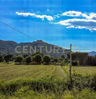 Foto annuncio 34