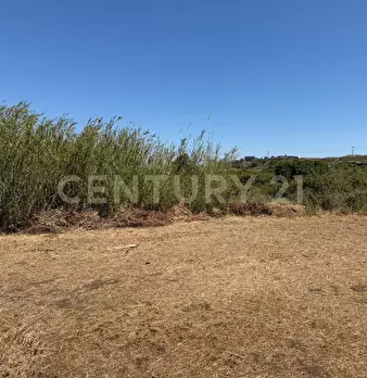 Foto annuncio 20