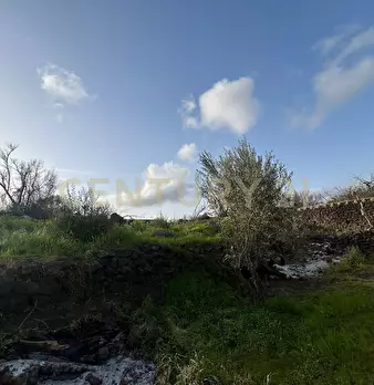 Foto annuncio 30