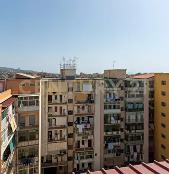Foto annuncio 44