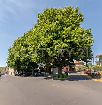 Foto annuncio 34