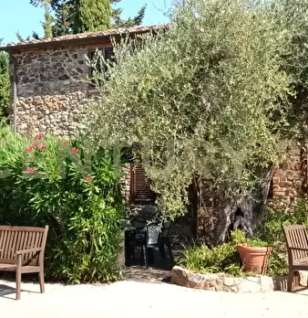 Foto annuncio 19