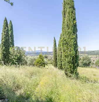 Foto annuncio 27