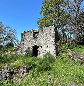 Foto annuncio 10