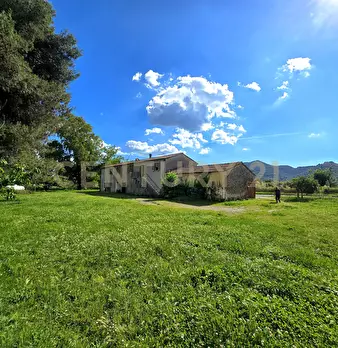 Foto annuncio 14