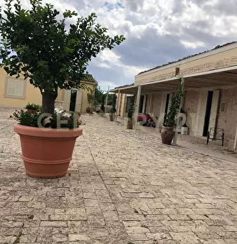 Foto annuncio 13