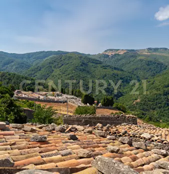 Foto annuncio 51