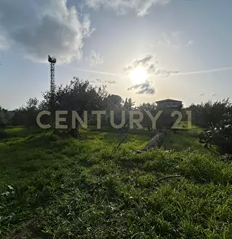 Foto annuncio 36