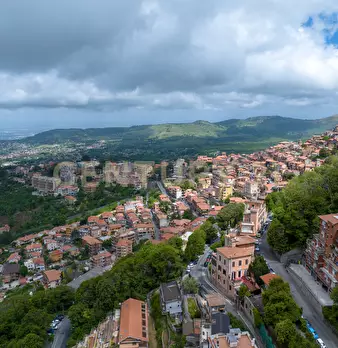 Foto annuncio 56