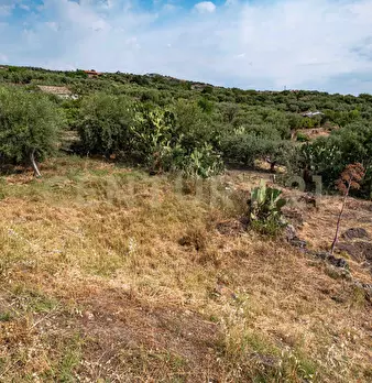 Foto annuncio 46