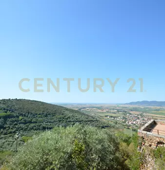 Foto annuncio 35