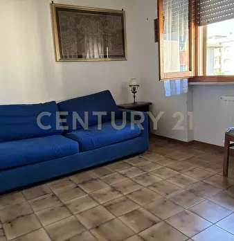 Foto annuncio 12