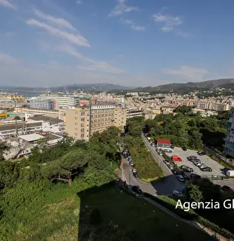 Foto annuncio 31