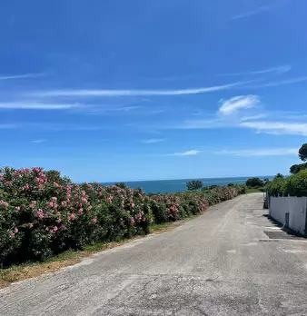 Foto annuncio 13
