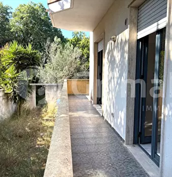 Foto annuncio 23