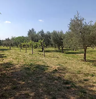 Foto annuncio 28