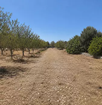 Foto annuncio 2