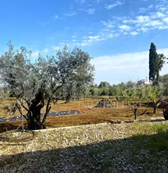 Foto annuncio 14